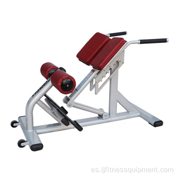 Equipo de gimnasio comercial Back Bench Roman Silla